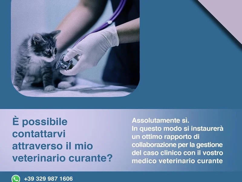 VETATHOMEROME - Veterinari a Domicilio a Roma