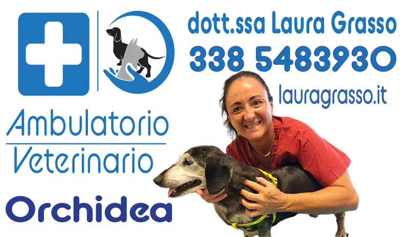 Ambulatorio Veterinario Orchidea - Laura Grasso Dott.ssa - Catania