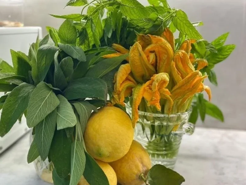 Trattoria Antico Falcone