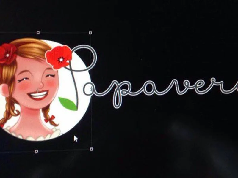 Papavero