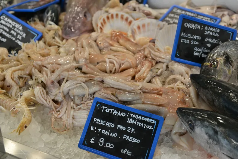 Pescheria Gastronomia Mare Nostrum srl