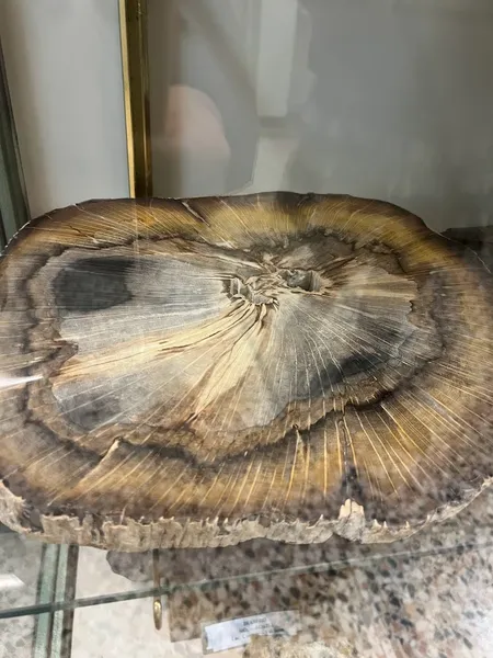 Museo di Storia Naturale Don Bosco