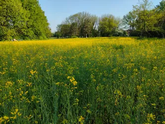 Lista 10 parchi naturali a Barona Milano