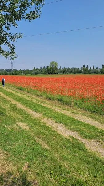 Parco della Vettabbia