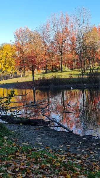 Parco Pubblico Pellerina