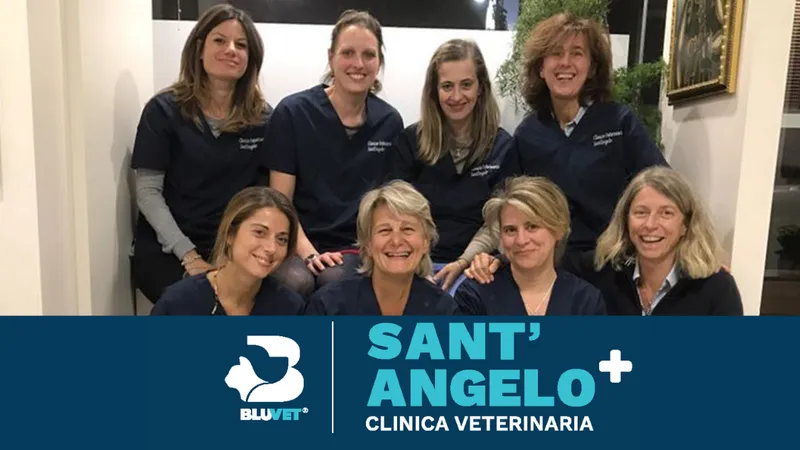 Clinica Veterinaria Sant'Angelo | Milano centro - BluVet