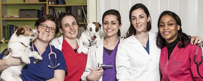 Ambulatorio Veterinario Risorgimento