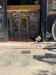 I Migliori 8 negozi biciclette a Prenestino-Centocelle Roma