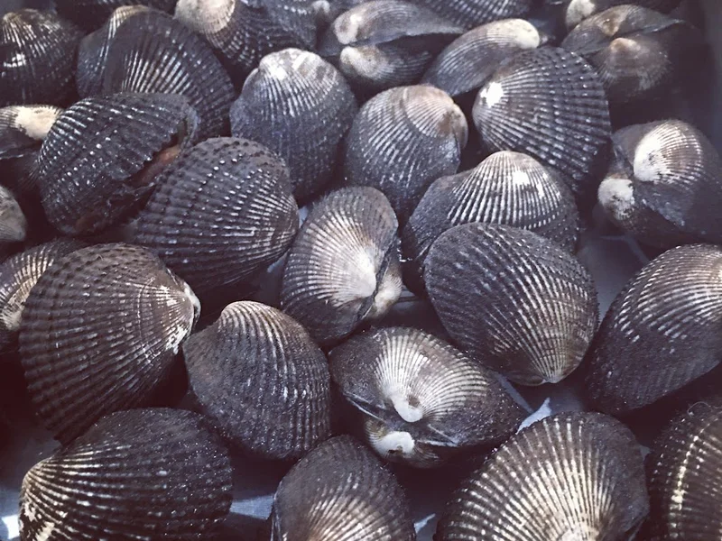 Mariscos la Matoza La Nueva Viga