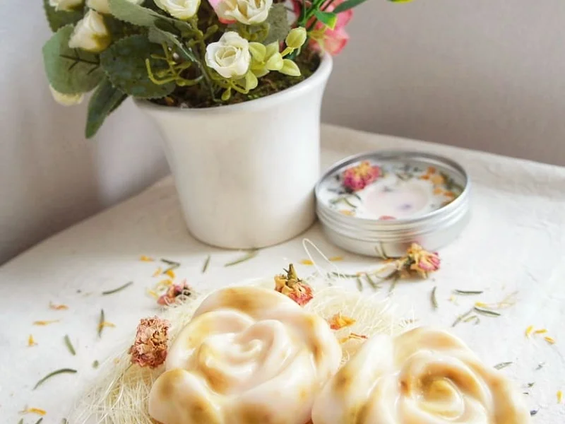 María Bonita Veganos