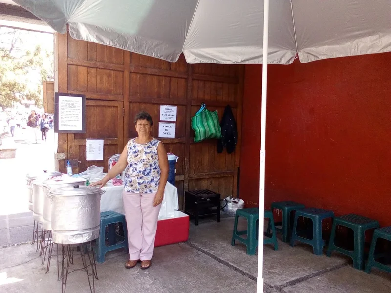 Tamales Chiapanecos María Geraldine