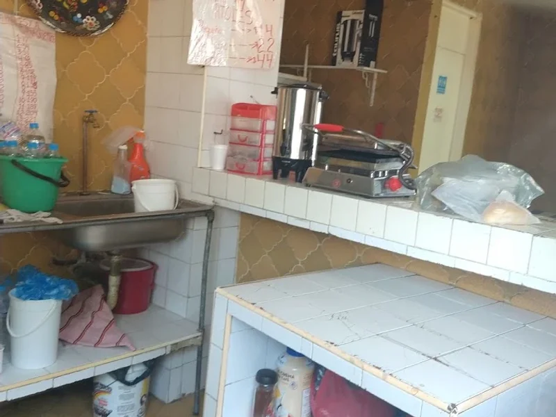 Tamales y atoles de Mary