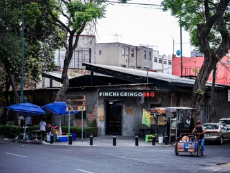 Los mejores 36 restaurantes pet friendly de Mexico City