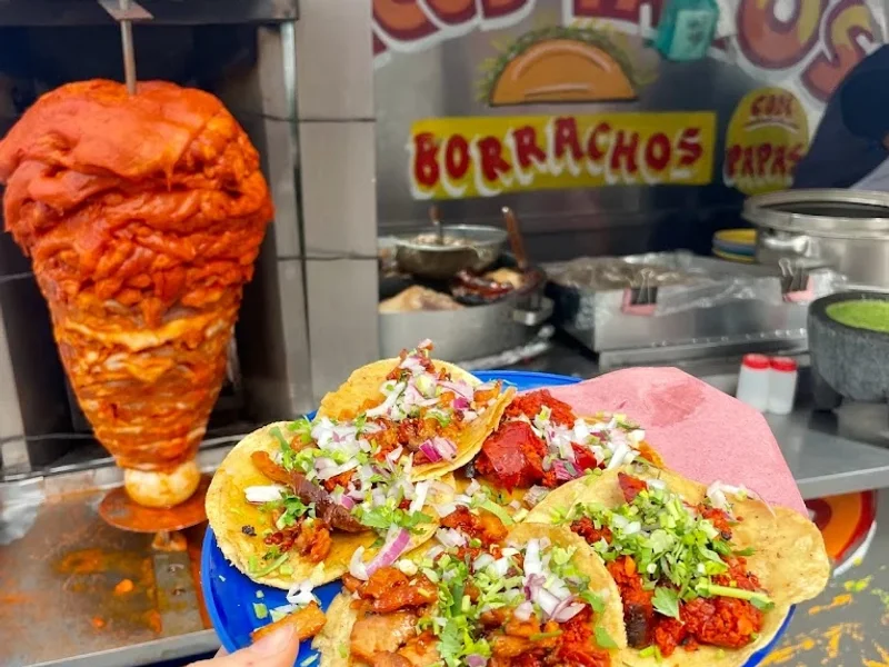 Tacos los jarrochos Morgan