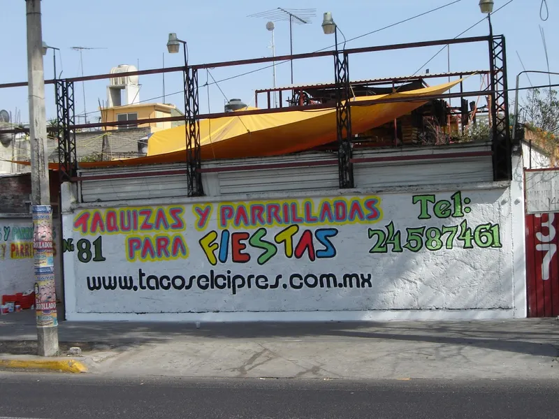 Tacos Al Pastor Para Fiestas