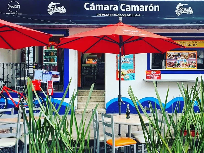 Cámara Camarón