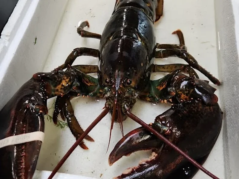 Los Sirenos Mariscos