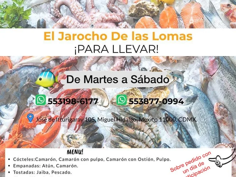 El Jarocho de las Lomas