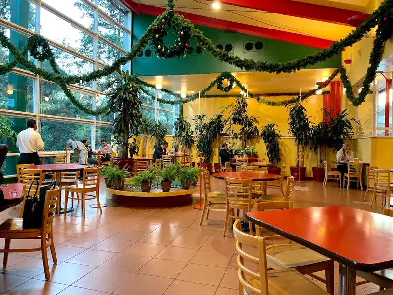 El Charco de las Ranas Pedregal