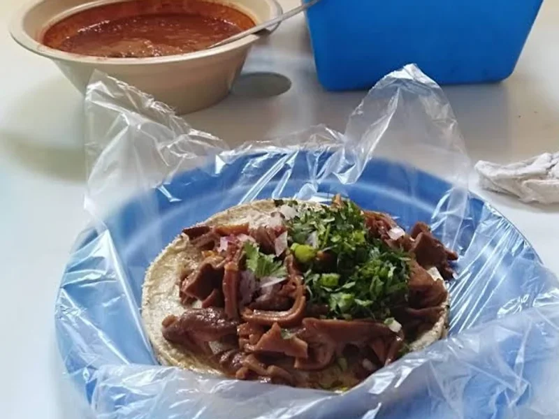 Carnitas Salas