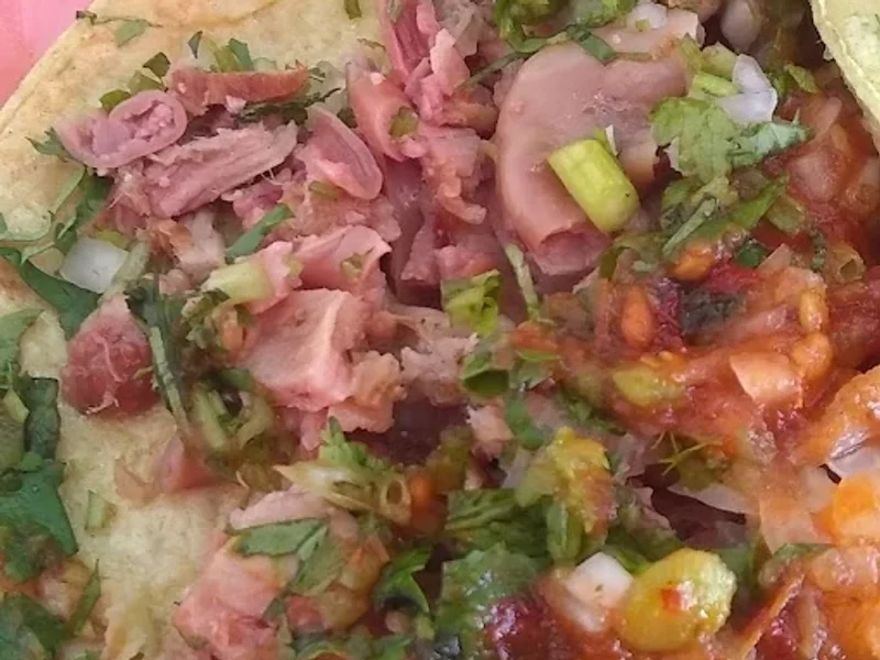Carnitas Tacolito