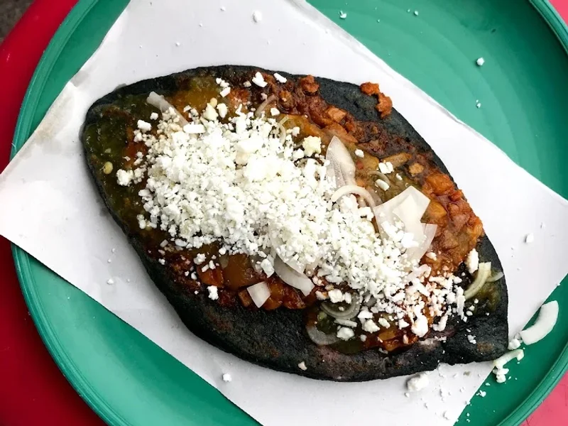TLACOYOS Y QUESADILLAS