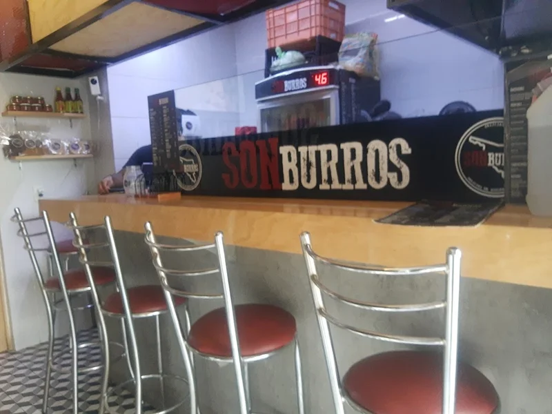 Son Burros