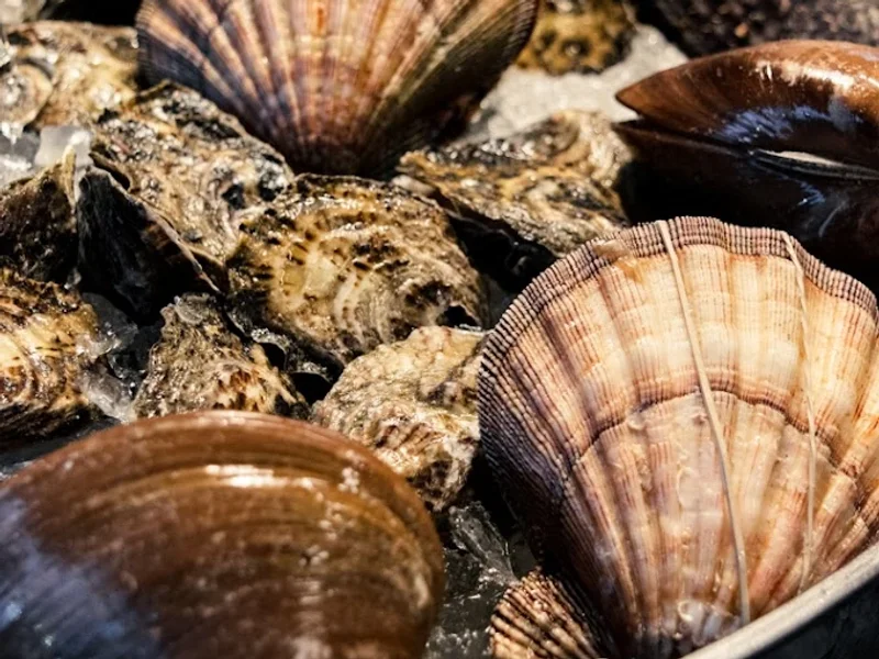 Barra California Sur by FISM