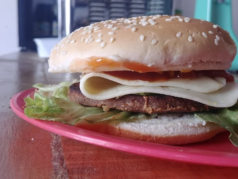 El tlacuache de Santa Maria