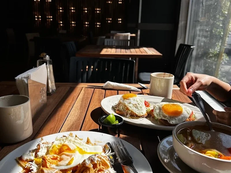 The Jungle Coffe & Bar