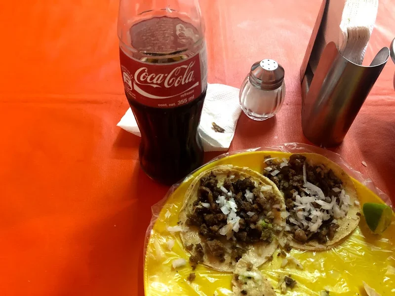 Taqueria los compadres Obrera