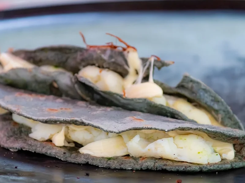 Quesadillas Anita y Lily