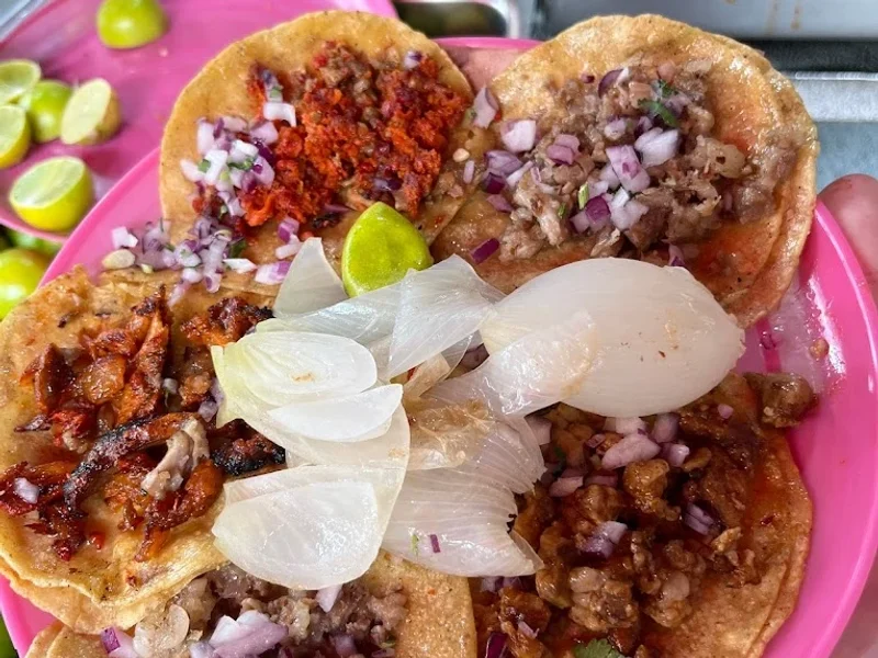 Tacos los jarrochos Morgan
