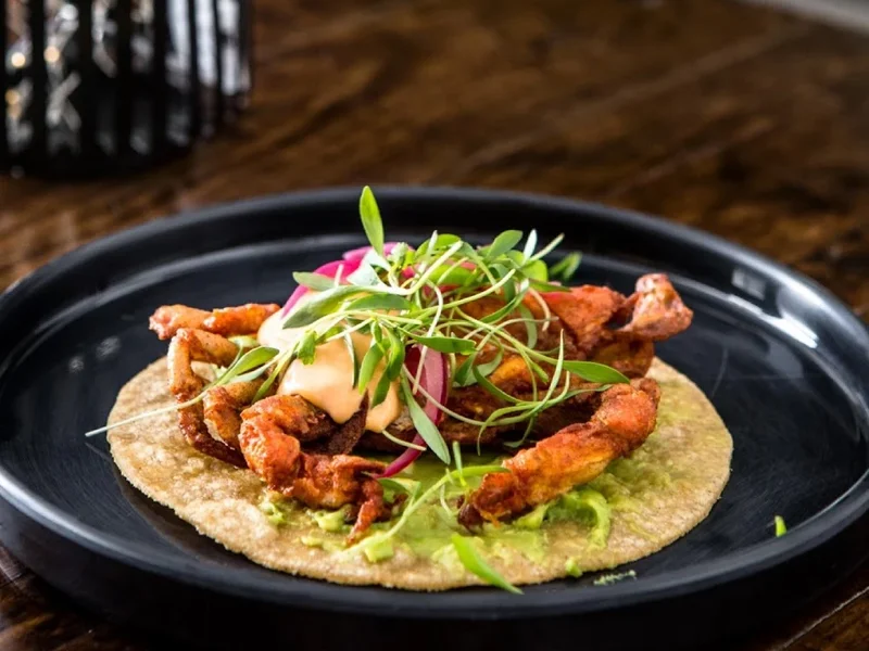 El Caimancito Condesa