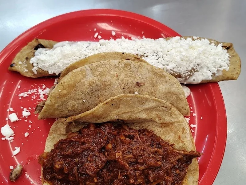 La flor de Xochimilco, tacos de barbacoa y más
