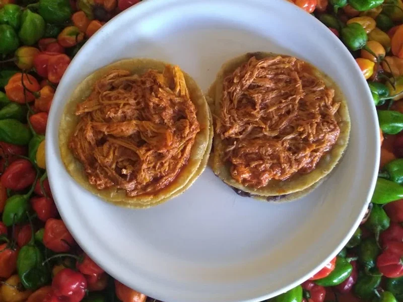 Cochinita Pibil ALEX