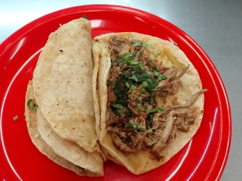 La flor de Xochimilco, tacos de barbacoa y más