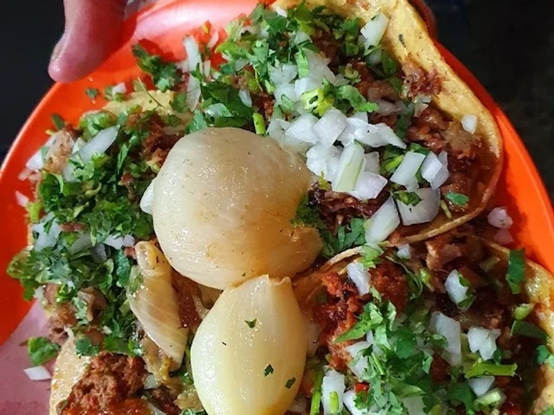 Los Tacos de Marina