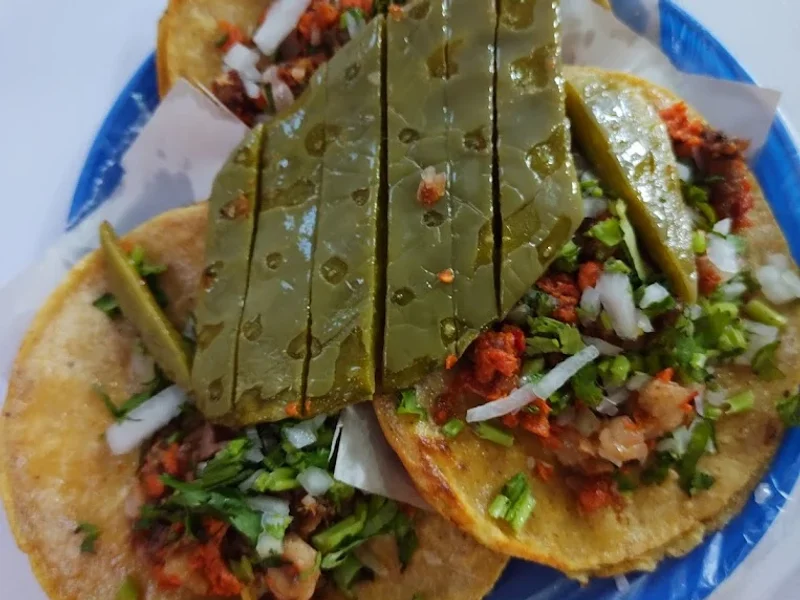 Tacos y Quesadillas " El Güero"