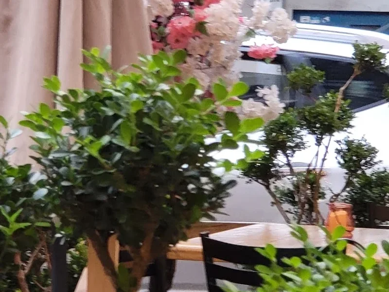 ABURIYA BY SHIGE TAKANE