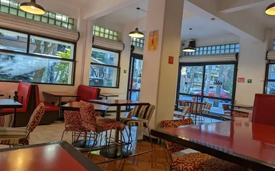 Los 12 restaurantes pet friendly de Colonia Cuauhtémoc Mexico City