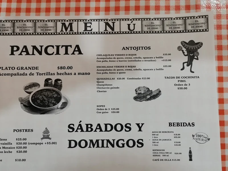 EL RINCONCITO DE AMMI