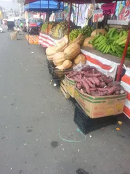 Los 14 pastas de San Francisco Tlaltenco Mexico City