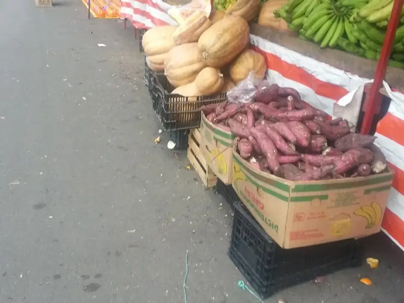 Mercado San Francisco Tlaltenco