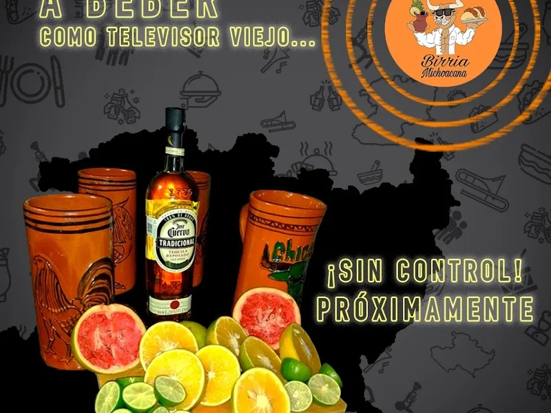 Perrillos birria michoacana