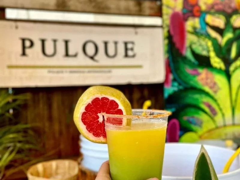 PULQUE CINCO CONEJOS