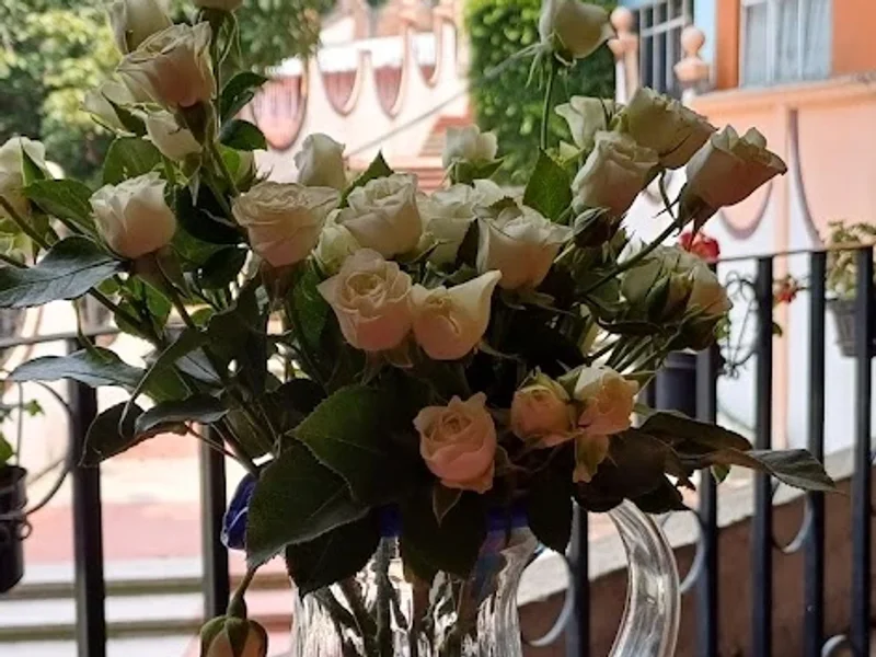 Restaurante Un Rincón Cerca del Cielo!!