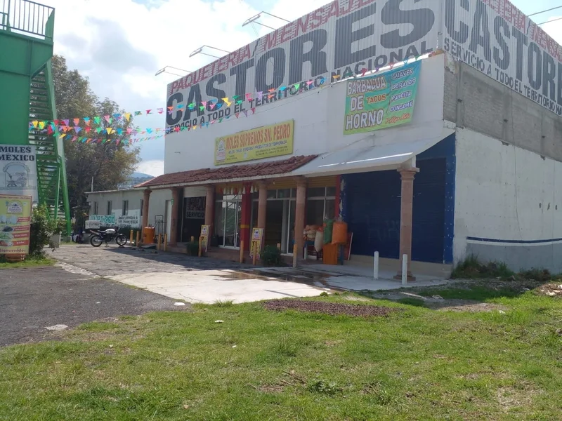 MOLES SUPREMOS SAN PEDRO