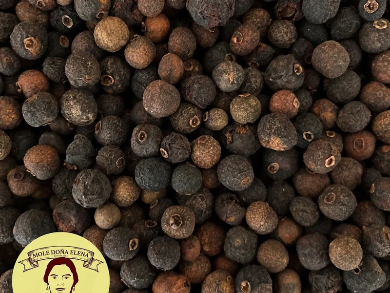 Mole Doña Elena
