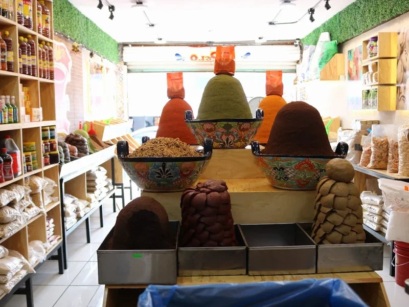 Mole Casero Doña Elia